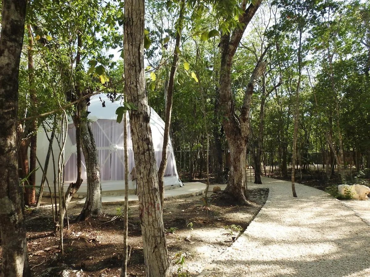 Glamping Mayan Glam Tulum